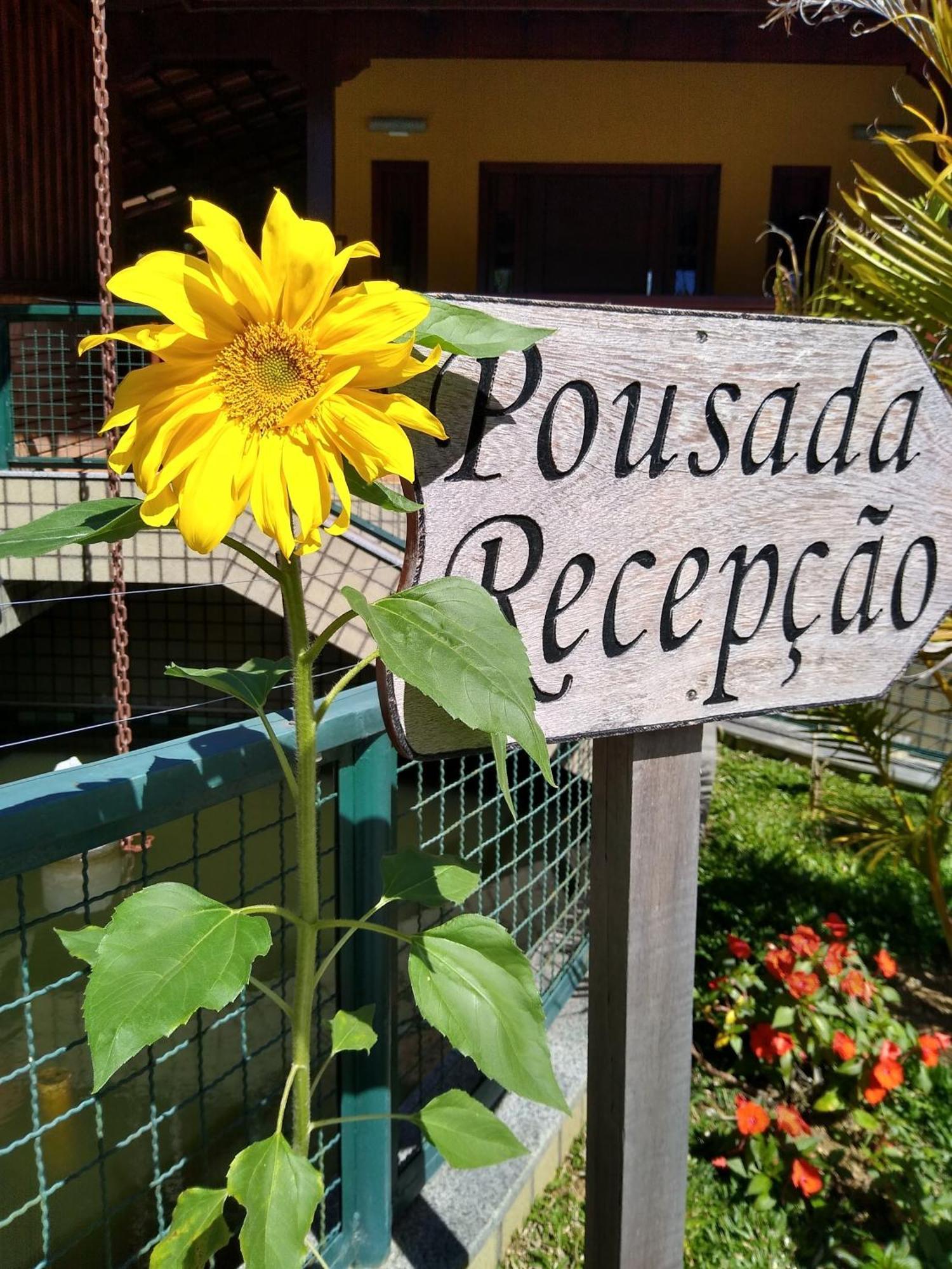 Pousada Recanto Das Flores Nova Friburgo Extérieur photo